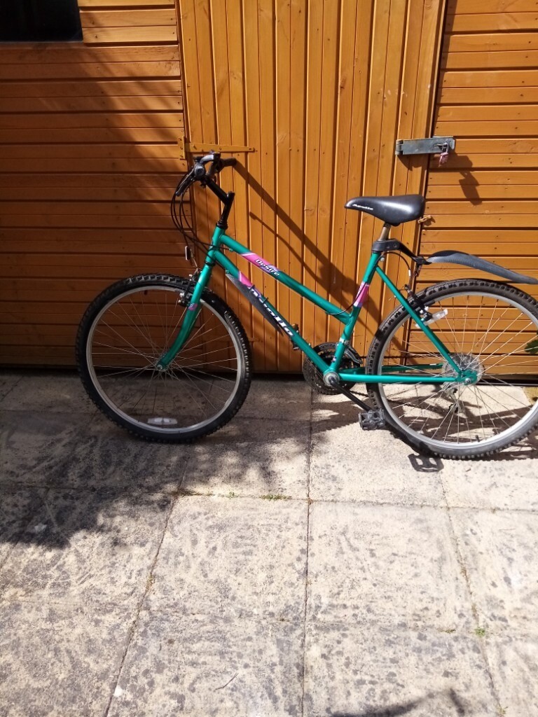gumtree ladies bicycle